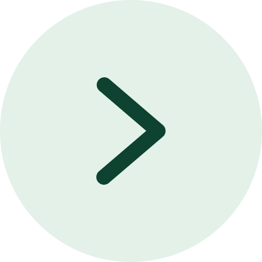 seta